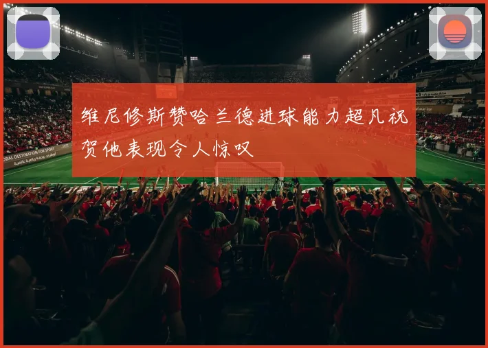 维尼修斯赞哈兰德进球能力超凡祝贺他表现令人惊叹