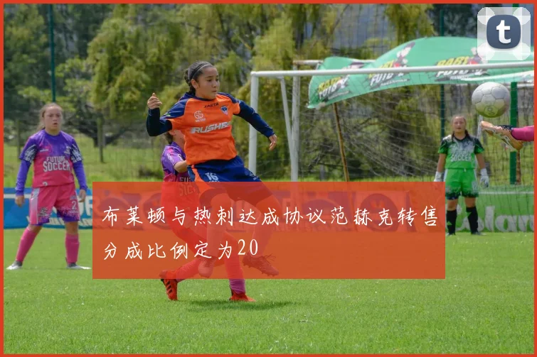布莱顿与热刺达成协议范赫克转售分成比例定为20
