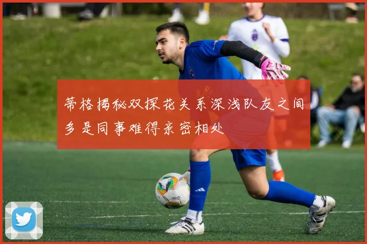 蒂格揭秘双探花关系深浅队友之间多是同事难得亲密相处