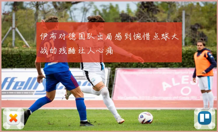 伊布对德国队出局感到惋惜点球大战的残酷让人心痛