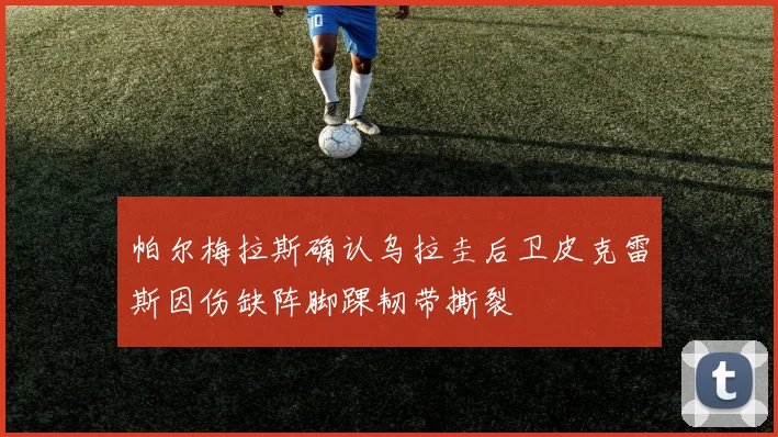 帕尔梅拉斯确认乌拉圭后卫皮克雷斯因伤缺阵脚踝韧带撕裂
